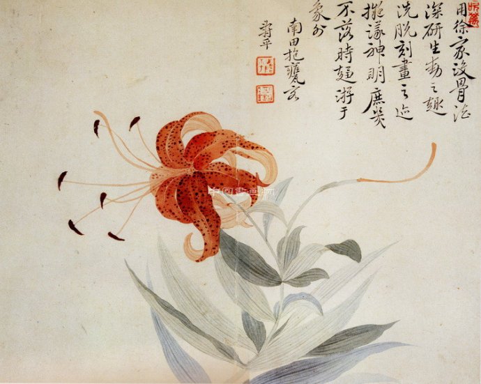 清 恽寿平花鸟作品赏析(四)