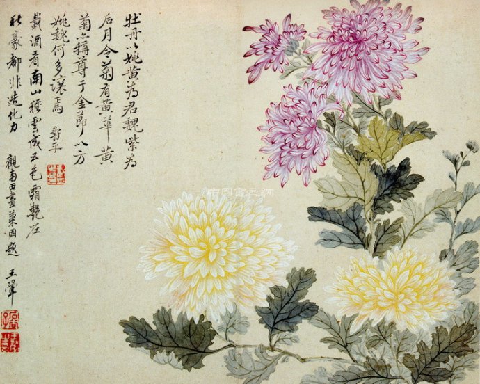 清 恽寿平花鸟作品赏析(四)