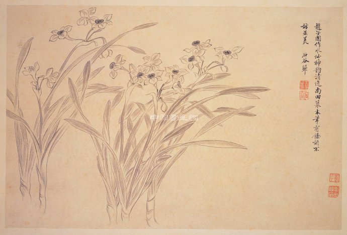 清 恽寿平花鸟作品赏析(五)