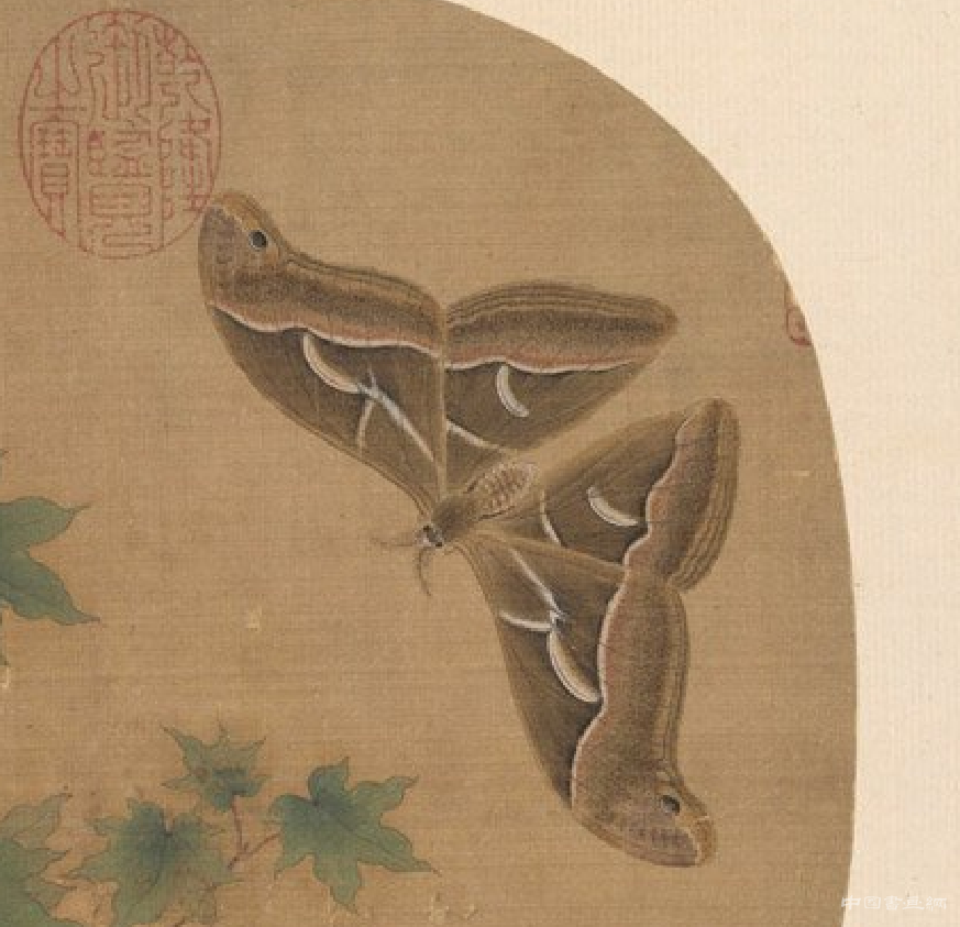 钤清乾隆、嘉庆二御览印&mdash;&mdash;《青枫巨蝶图》