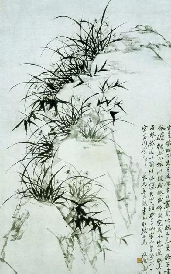 郑板桥画兰，画的是兰花的骨头！