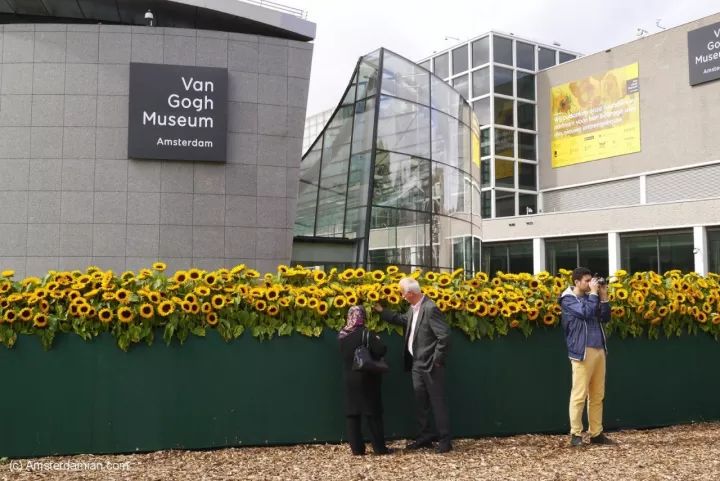 彭锋：凡&middot;高的鞋踩出一个罗生门