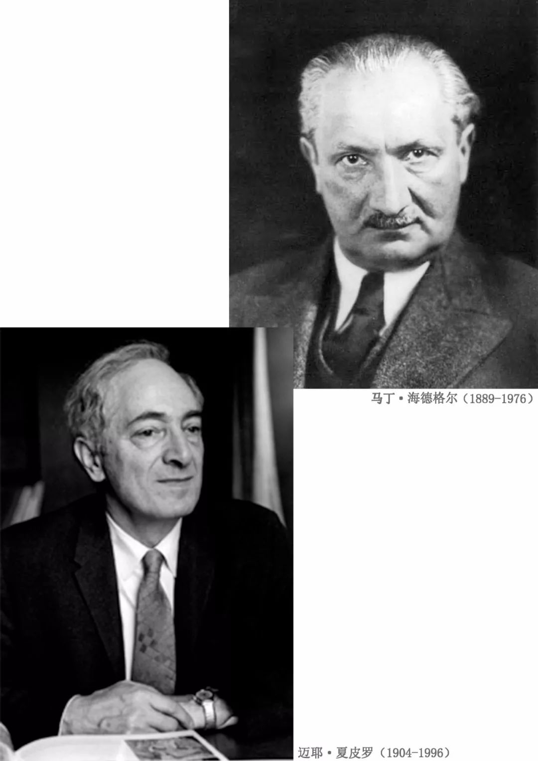 彭锋：凡&middot;高的鞋踩出一个罗生门